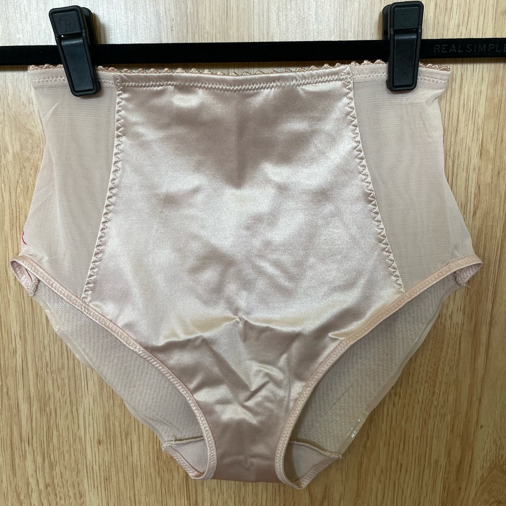 Ruby Ribbon Sheer Briefs